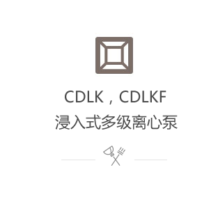 CDLK,CDLKF浸入式多級(jí)離心泵